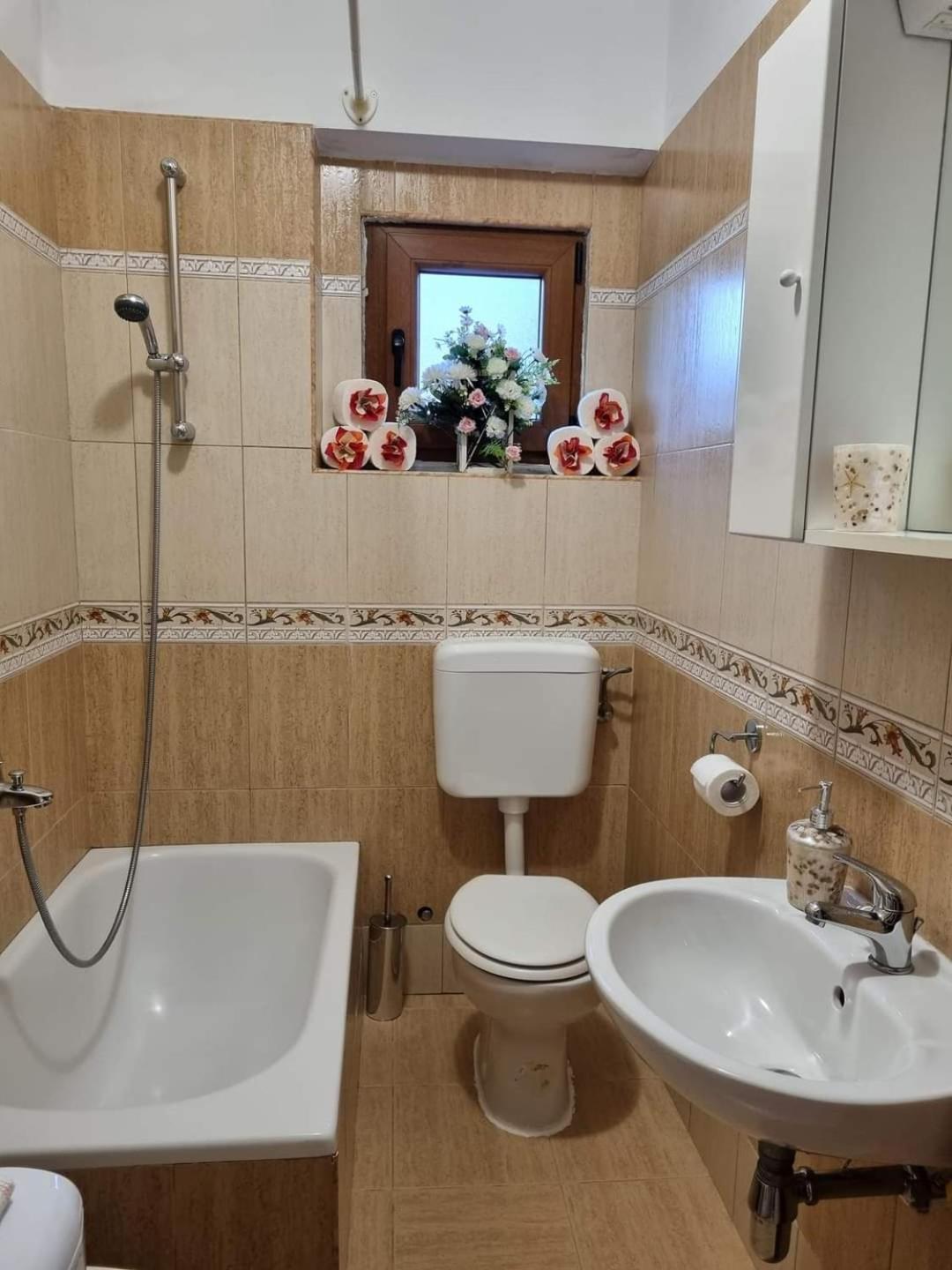 Apartmani Milenko Lubenice Extérieur photo